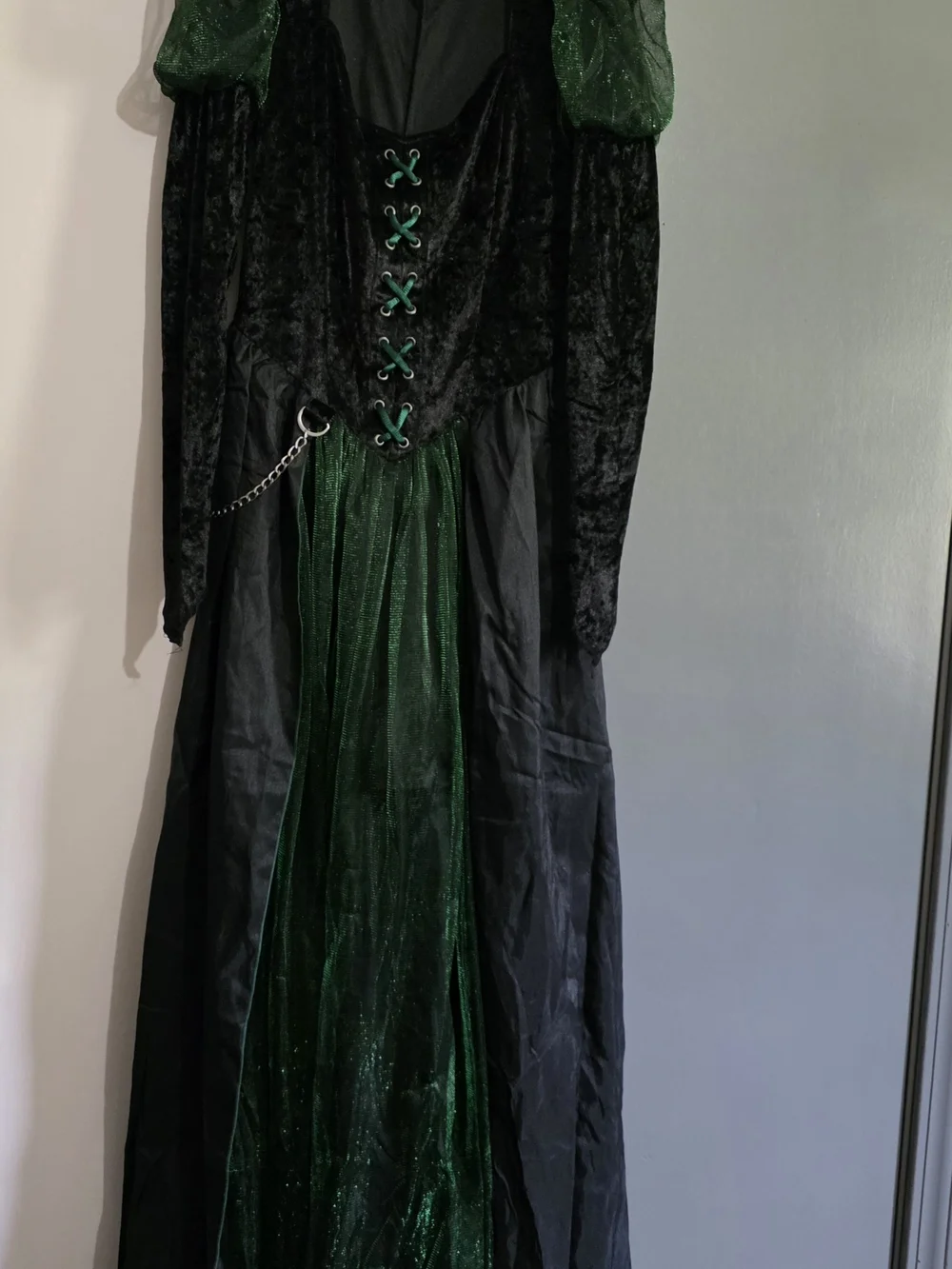 The Wizard of Oz Wicked Witch Adult Costume - Green & Black - Picture 2 of 3